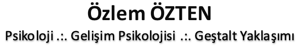 demo.ozlemozten.com